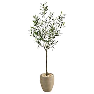 5.5ft. Olive Artificial Tree in Sand Colored Planter