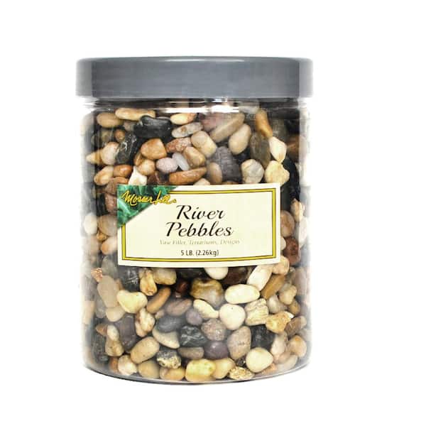 Mosser Lee 5 lbs. River Pebbles in Storage Jar