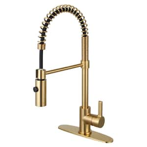 Continental Pre-Rinse Single-Handle Pull-Down Sprayer Kitchen Faucet in Brushed Brass