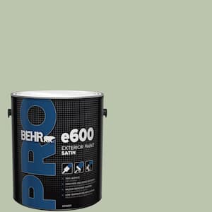 1 gal. #PPU11-10 Whitewater Bay Satin Exterior Paint