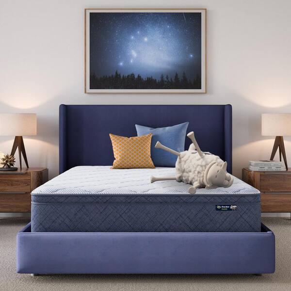 5 Star Mattress Sleep to Go King Plush Pillow Top 12 in. Mattress in a Box