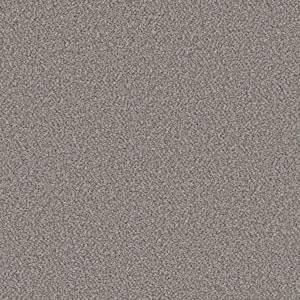 Piece Of Cake Hazy Shadow Gray 33 oz. Solution Dyed Polyester Texture Installed Carpet