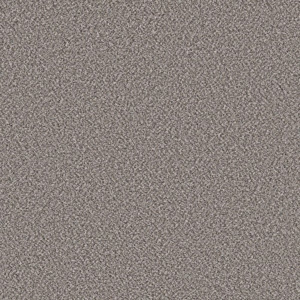 Home Decorators Collection Piece Of Cake Hazy Shadow Gray 33 oz. Solution Dyed Polyester Texture Installed Carpet