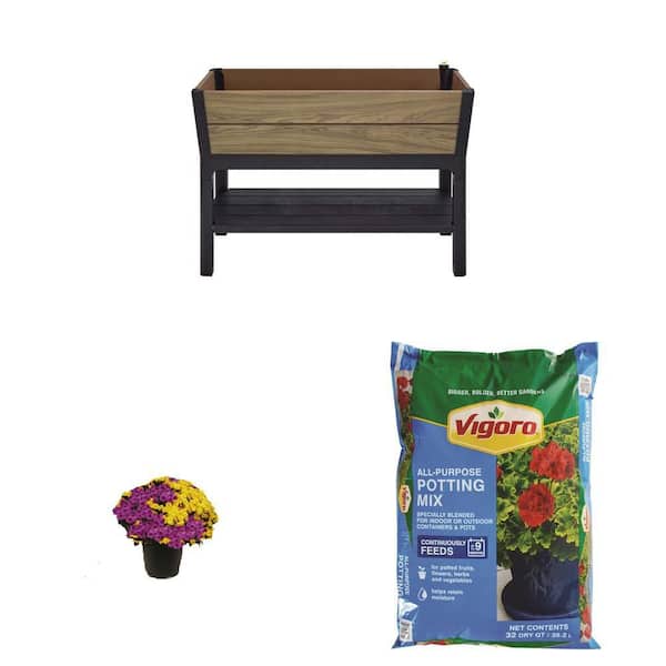 Oak Vinyl Garden Bed Planter (44 in. x 18 in. x 31 in.), 3 Gal. Mum, and 32 qt. Potting Soil Mix Combo