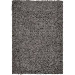 Solid Shag Graphite Gray 4 ft. x 6 ft. Area Rug