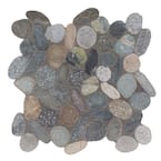 https://images.thdstatic.com/productImages/22b25a6f-f048-41ee-8f9c-de1262a17a5e/svn/sliced-rainforest-pebble-msi-marble-tile-peb-raiforc-64_145.jpg