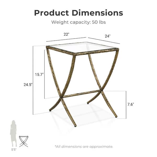 Furniture of America Parto 22 in. Modern Forged Gold Metal