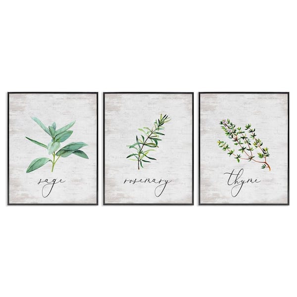 Charming Summer Kitchen Herbs by Lettered and Lined 3-Pieces Black Framed Typography Giclee Art Print 14 in. x 11 in.