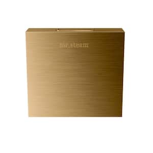 Replacement AromaSteam Square 3 in. Steam Head in Brushed Bronze for iTempo/iTempo Plus