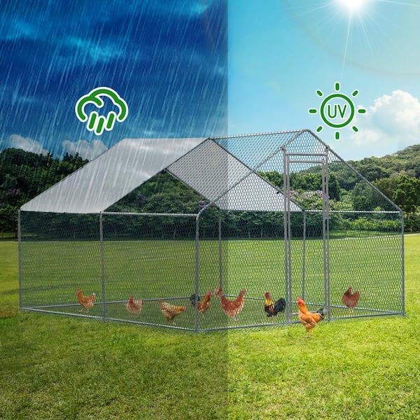coops Karl home 10 ft x 10 ft Large Metal Chicken Run House with