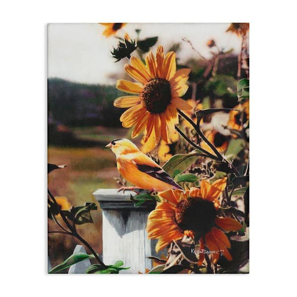 Stupell Industries Canary Bird and Sunflowers by Kevin Daniel Unframed Nature Graphic Art Print 20 in. x 16 in.