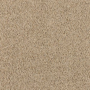 Radiant Retreat II Soft Sandstone Beige 58 oz. Polyester Textured Installed Carpet