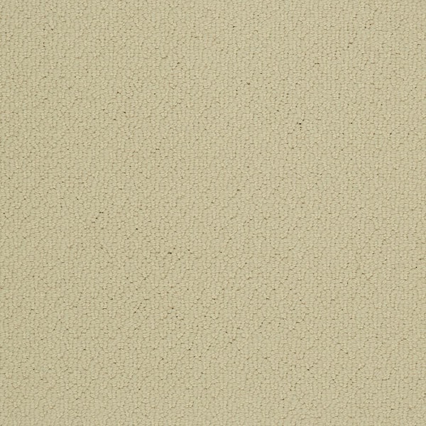 Mohawk 8 in. x 8 in.  Pattern Carpet Sample - Cliffmont - Color Daydream