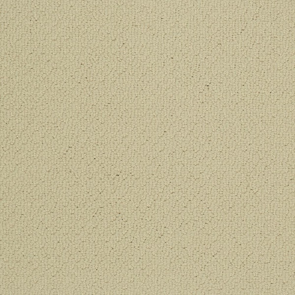 Mohawk 8 in. x 8 in. Pattern Carpet Sample - Cliffmont - Color Daydream