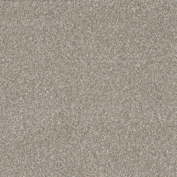 Lifeproof Hazelton III - Groovy - White 60 oz. Polyester Texture Installed Carpet