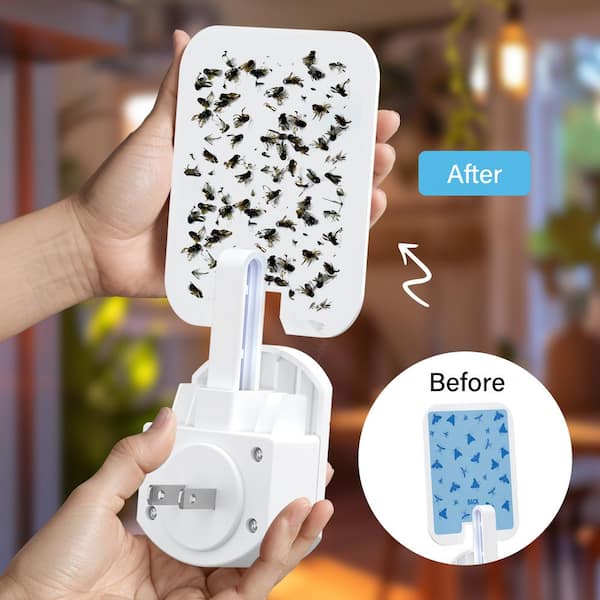 Bell + Howell Rogue Indoor Plug-In Insect Trap for Fruit