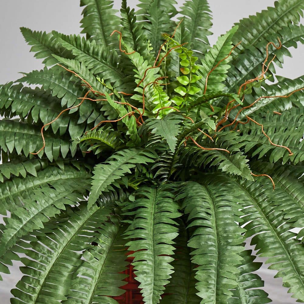 Tropical Boston Fern Silk Tabletop Plant in Stylish Wood Vase