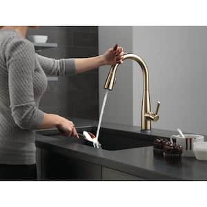 Essa Touch2O Technology Single Handle Pull-Down Sprayer Kitchen Faucet with MagnaTite Docking in Champagne Bronze