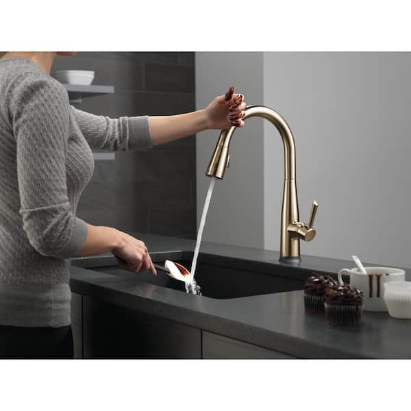 Essa Gold Touch2O Technology Single Handle Pull-Down Sprayer Kitchen Faucet with MagnaTite Docking in Champagne Bronze