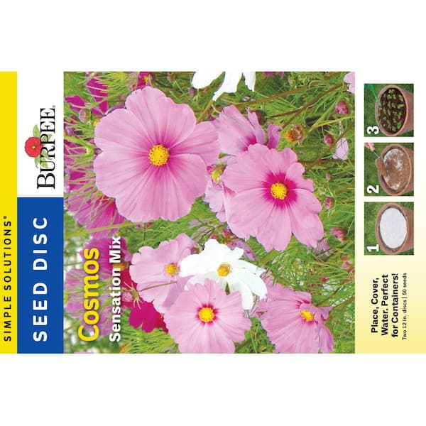 Burpee Cosmos Sensation Mix Large OD Disc Seed