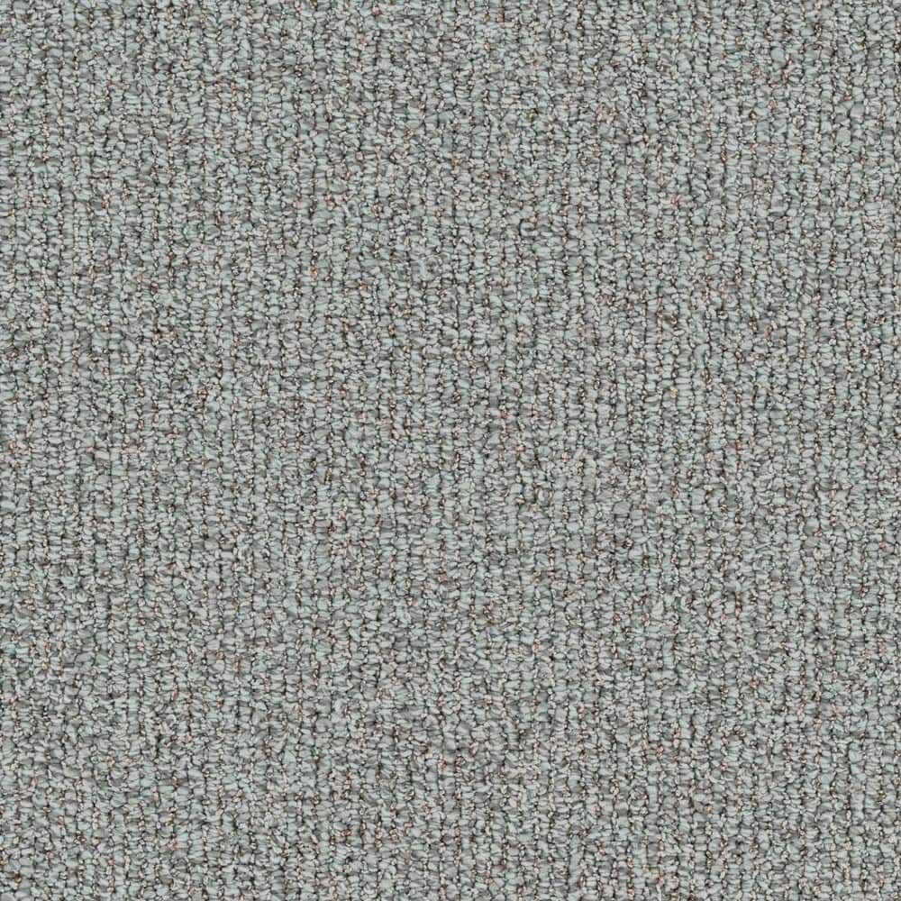 8 in. x 8 in. Loop Carpet Sample - Symphony Walk - Color Harmony price history on PriceWatchPro