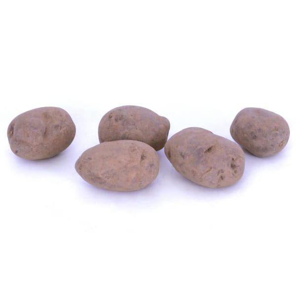 Seed Potato Kit