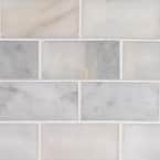 Greecian White Riptide 3 in. x 6 in. Polished Marble Stone Look Floor and Wall Tile (1 sq. ft./Case)