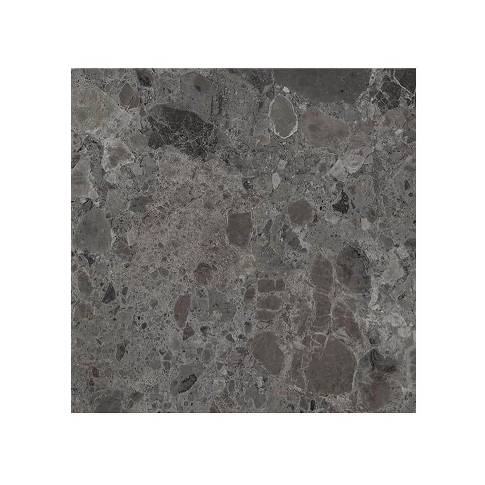 Ambience Terrazzo Deep Gray 24 in.x 24 in.x 10mm Porcelain Floor and Wall Tile Sample price history on PriceWatchPro
