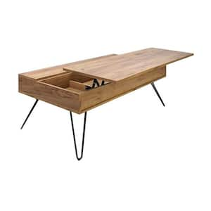 Custom Series 23.5 in. Brown Rectangle Particle Board Coffee Table with 2 Storage Compartments