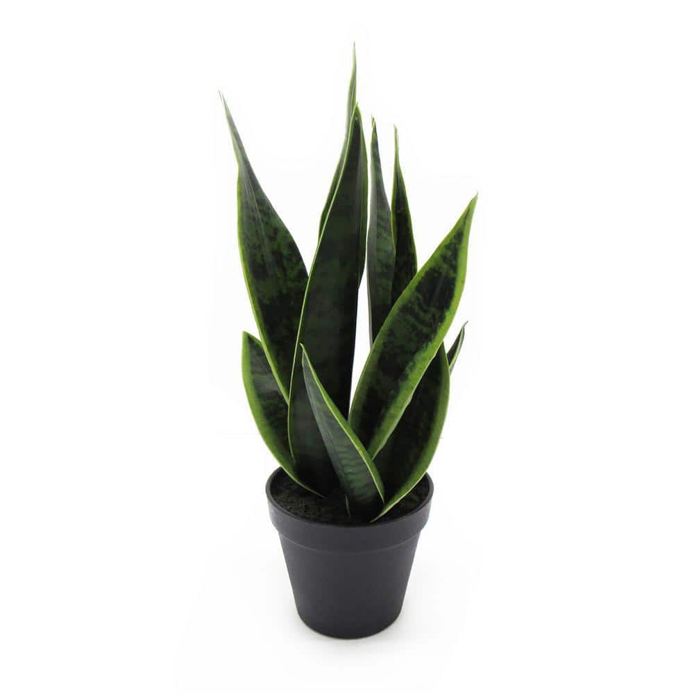 LIVING LUXURY 16 in. Sansevieria Artificial Snake Plant in Black