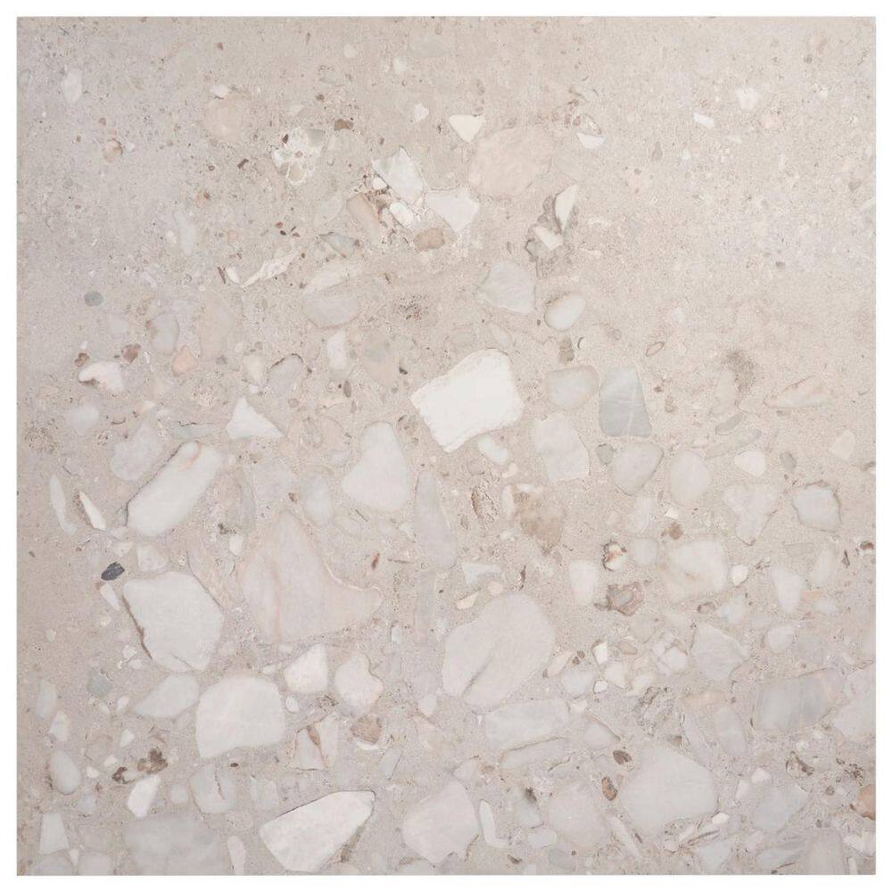 Sarto Grande Warm Gray 8 in. x 0.35 in. Terrazzo Look Semi-Polished Porcelain Floor and Wall Tile Sample price history on PriceWatchPro
