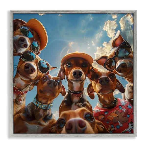Stupell Industries Funny Wiener Dog Selfie by Jim Baldwin Gray Framed Animal Giclee Art Print 12 in. x 12 in.