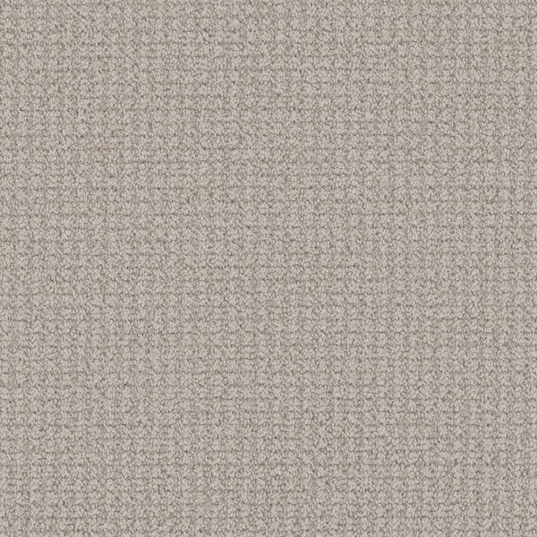Home Decorators Collection Shooting Star-Orion Beige-35 oz. SD Polyester Pattern Installed Carpet