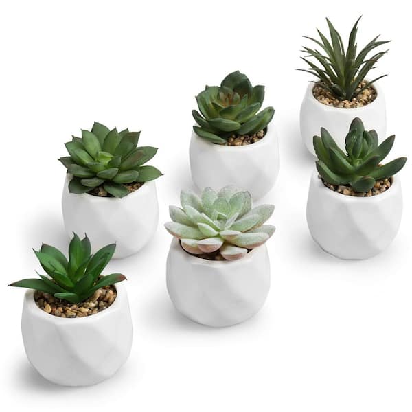 6 Pack 4 in. Mini Artificial Succulents in Geometric Ceramic Pots