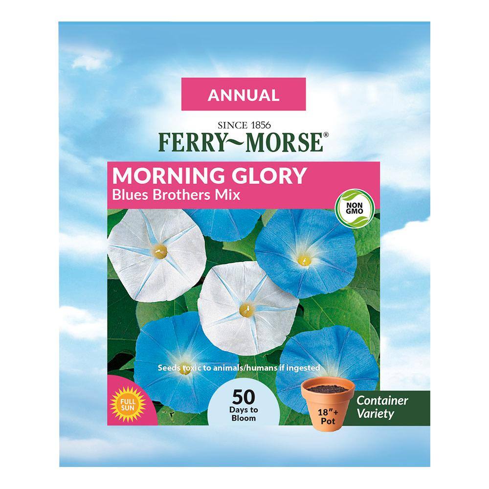 Ferry-Morse Morning Glory Blues Bros Mix Flower Seed 1806 - The Home Depot