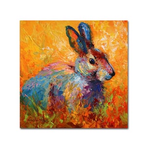 14 in. x 14 in. "Bunny IV" by Marion Rose Printed Canvas Wall Art