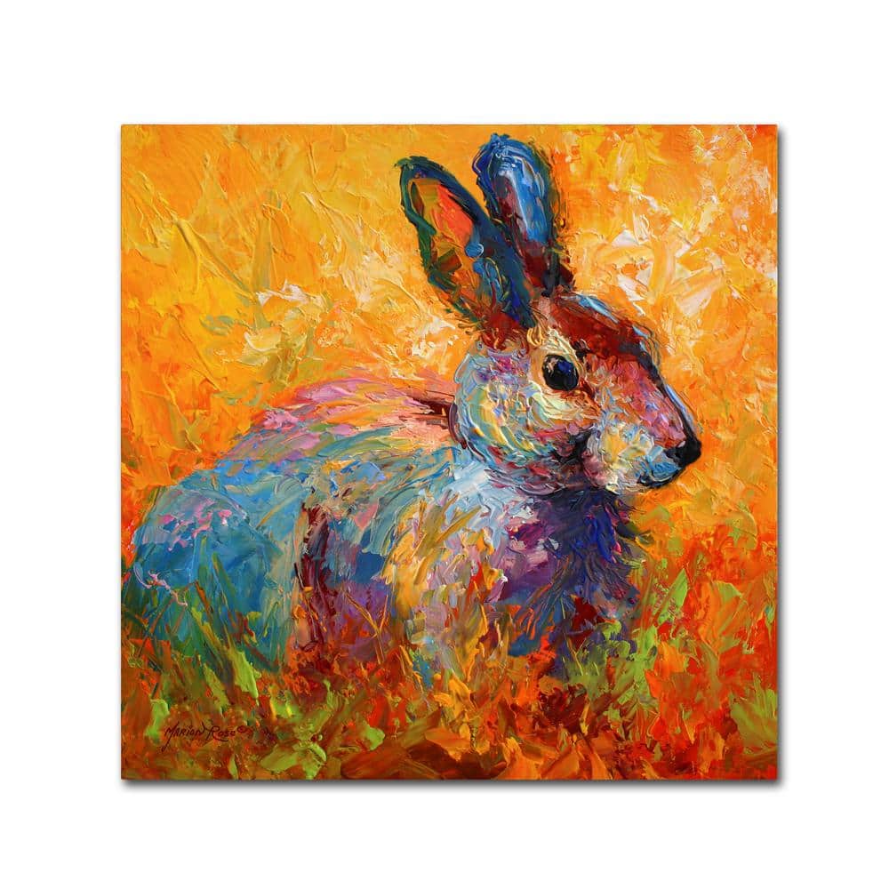 Trademark Fine Art 14 in. x 14 in. 