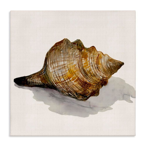 Stupell Industries Conch Shell on Beige by Jacob Q Unframed Coastal Graphic Art Print 24 in. x 24 in.