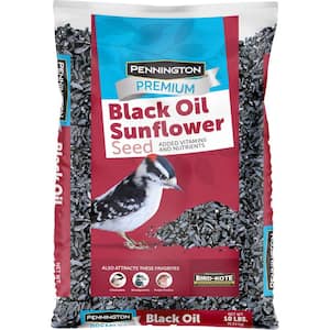 Premium 10 lb. Black Oil Sunflower Bird Seed Food