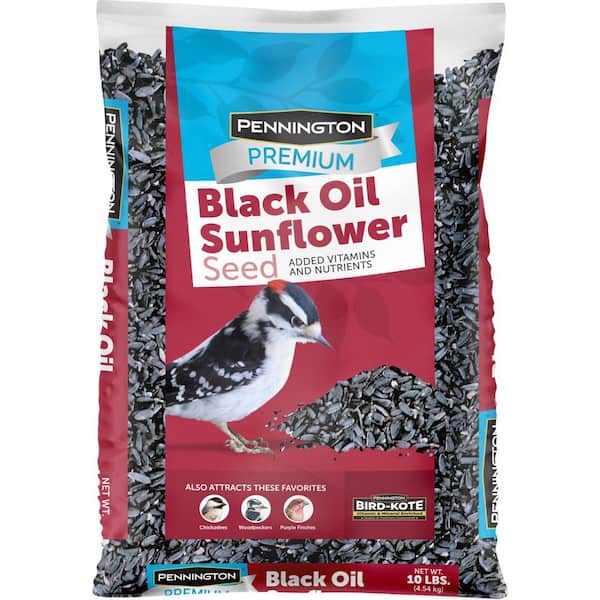 Pennington Premium 10 lbs. Black Oil Sunflower Bird Seed