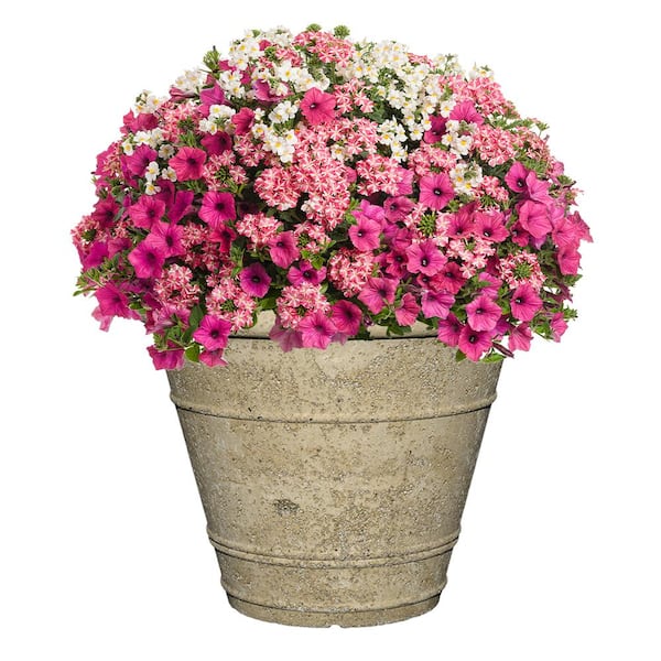 Anson Large Natural Lavastone Round Planter with Drainage Plug (18 in. L x 18 in. W x 14.5 in. H)