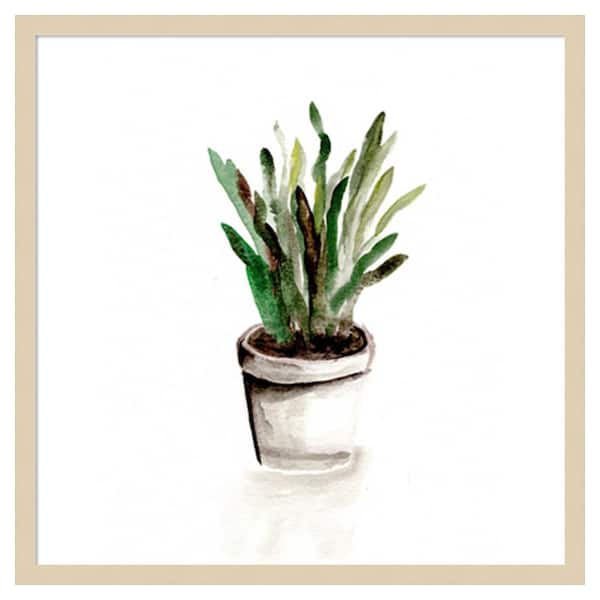 Amanti Art Potted Botanicals III by Marcy Chapman 25 in. W x 25 in. H. Wood Framed Wall Art Print Framed in Brown