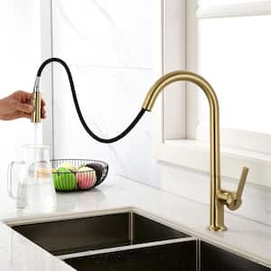 Single Handle Pull Out Sprayer Kitchen Faucet with Advanced 2-Setting Spray in Brushed Gold