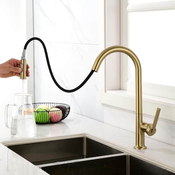 Single Handle Pull Out Sprayer Kitchen Faucet with Advanced 2-Setting Spray in Brushed Gold