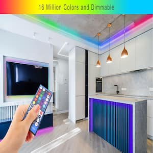 32 ft. Indoor/Outdoor RGB Plus W LED Strip Light with RF Remote