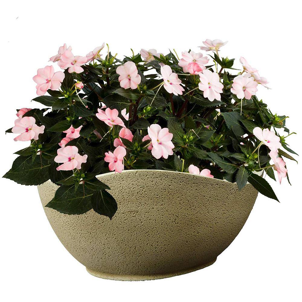 Desert Beige Oval Resin Indoor/Outdoor Planter
