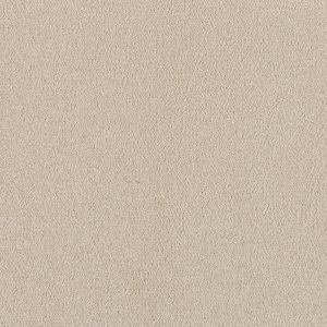 Tailored Trends I Crisp Beige 34 oz. Polyester Textured Installed Carpet