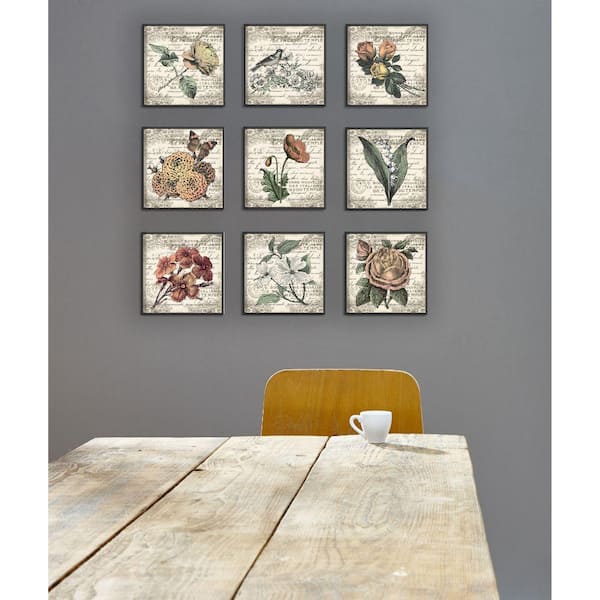 Stupell Industries 9-Pc French Botanical Illustrations Canvas Wall Art Set