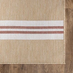 Stripes Natural 2 ft. x 3 ft. Indoor/Outdoor Scatter Rug
