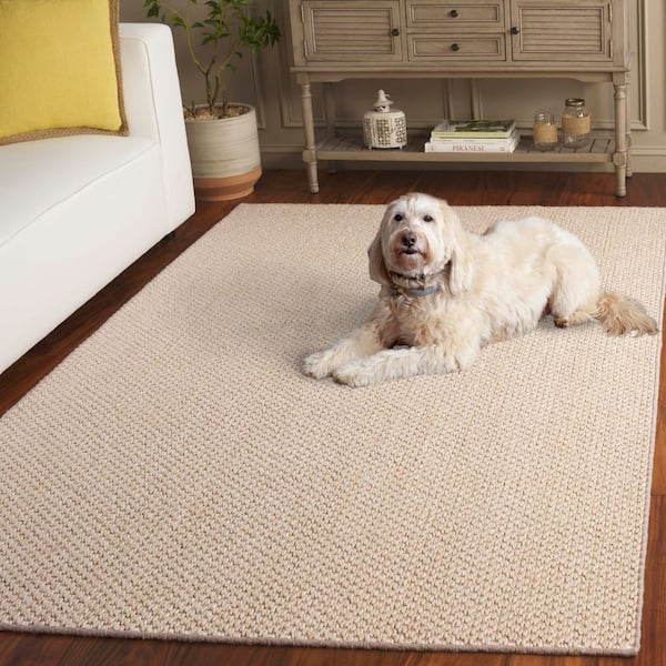 SAFAVIEH Natural Fiber 9 ft. x 12 ft. Creme Woven Solid Spotted